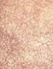 Actual product image MAC Cosmetics Mineralize Skinfinish (Global glow)