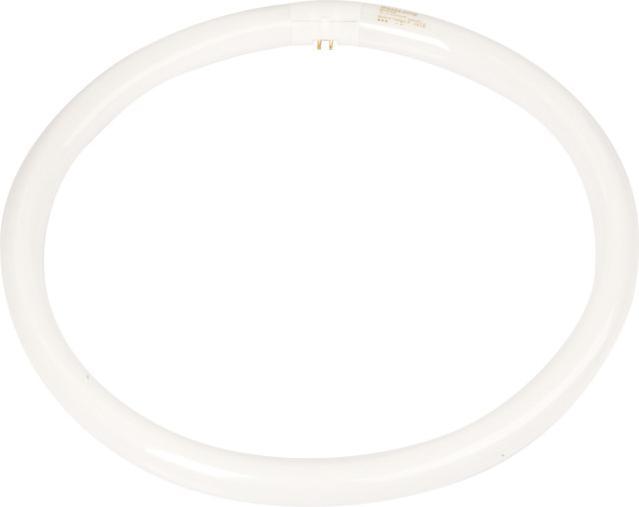 Immagine prodotto Philips Lampada fluorescente TL-E (G10q, 40 W, 3200 lm, 12 x, G)