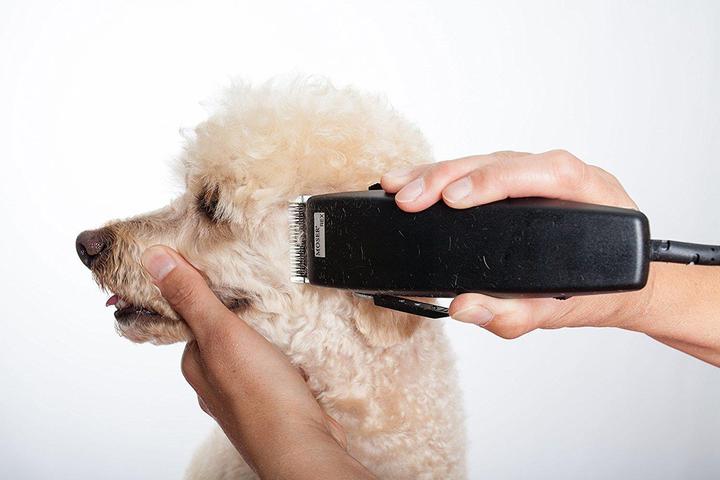 Image du produit Moser Tondeuse à cheveux pour chiens (Chien, Chat)