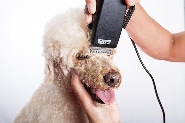 Image du produit Moser Tondeuse à cheveux pour chiens (Chien, Chat)