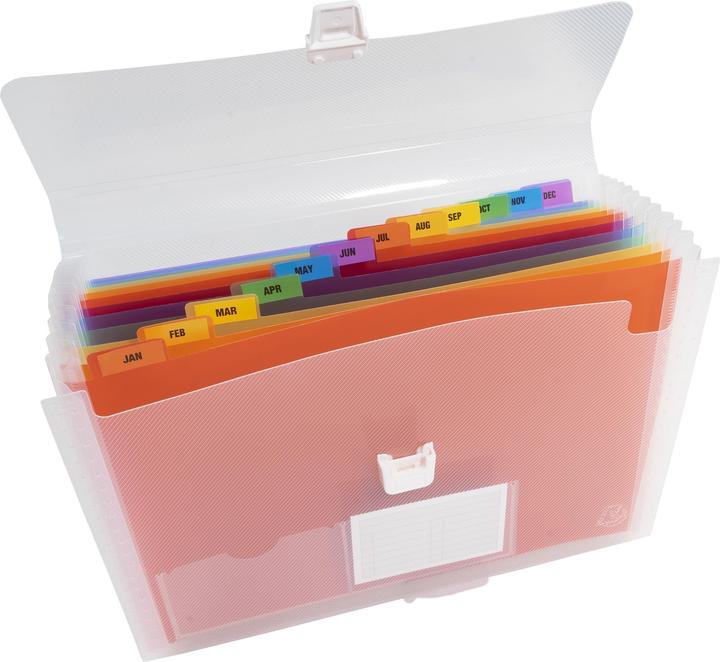 Actual product image Exacompta Crystal folder with handle (A4, 1 x)