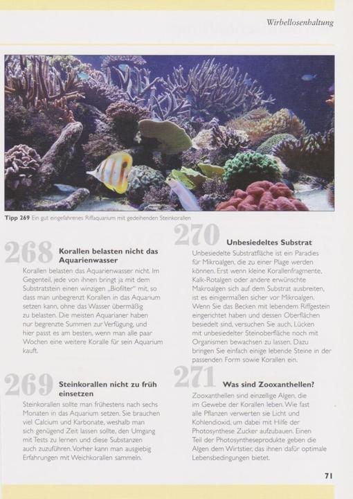 Actual product image 500 Tipps und Tricks zur Meerwasseraquaristik (German, Dave Garratt, Tristan Lougher, Tim Hayes, Dick Mills, 2007)