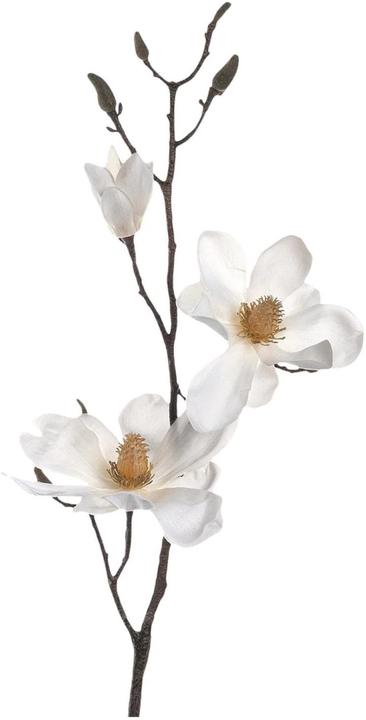 Produktbild Leonardo Kunstblume Magnolienzweig Vernazza 40 cm, 12 Stück (40 cm)