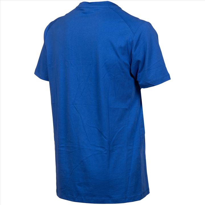 Actual product image Arena Team T-Shirt Panel (S)