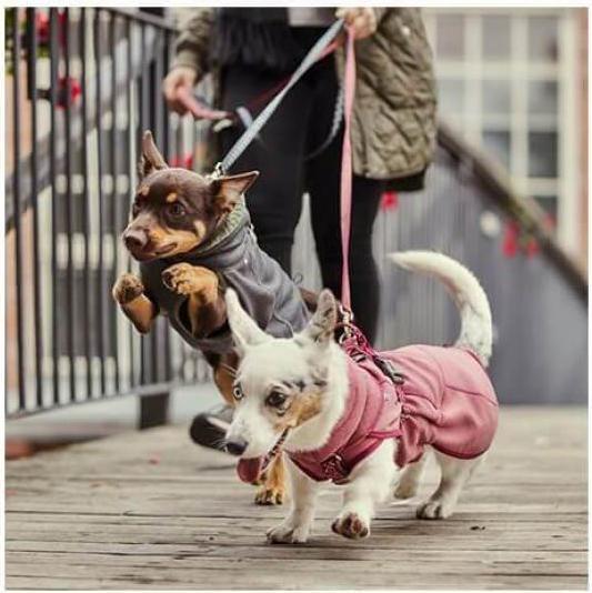 Actual product image Hurtta Razzle-Dazzle blackberry Gr.40 (S, Dog jumper)