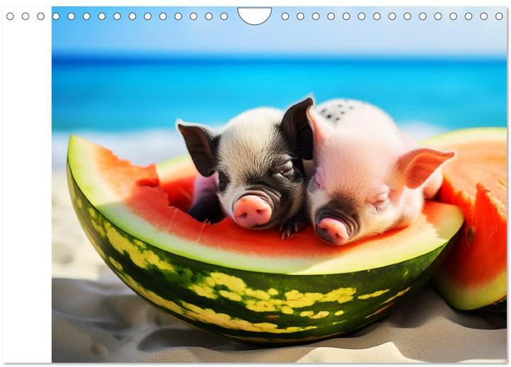 Actual product image Pigs in the Caribbean. Sun and spa with swimming pigs (Wall calendar 2025 DIN A (A4, No binding, German)