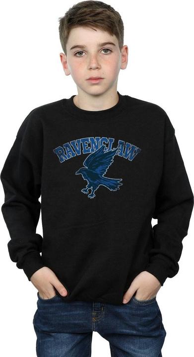 Immagine prodotto Ravenclaw Sport Emblem Felpa Ragazzi (140, 146)