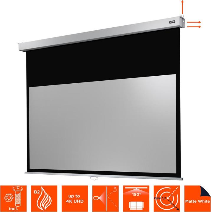 Actual product image Celexon Manual Professional Plus Home cinema format - screen - ceiling mounting possible (72.44", 16:9)
