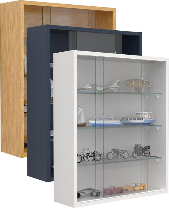 Actual product image VCM Hängevitrine Wandvitrine Glas Drivalo M (60 x 50 x 15 cm)