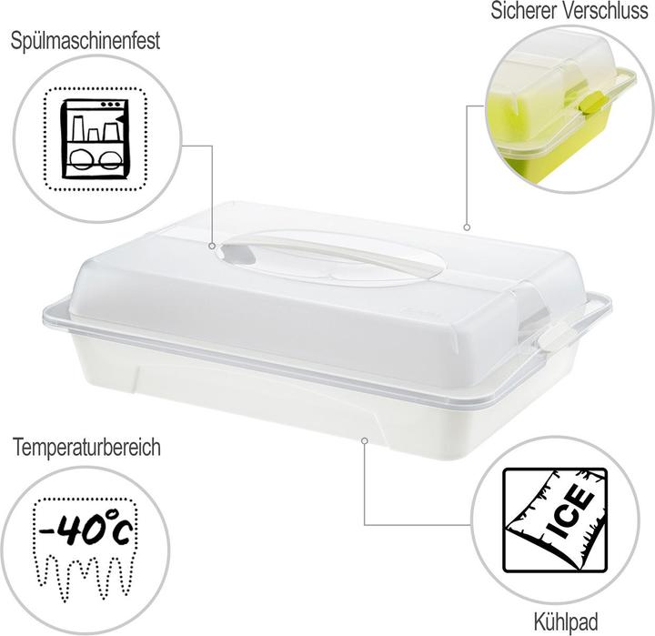 Actual product image Rotho Cool Fresh (14.52 l)