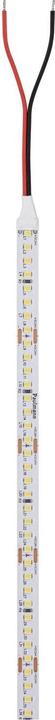 Actual product image Paulmann PAUL LED strip light (Daylight, 500 cm, Indoor)