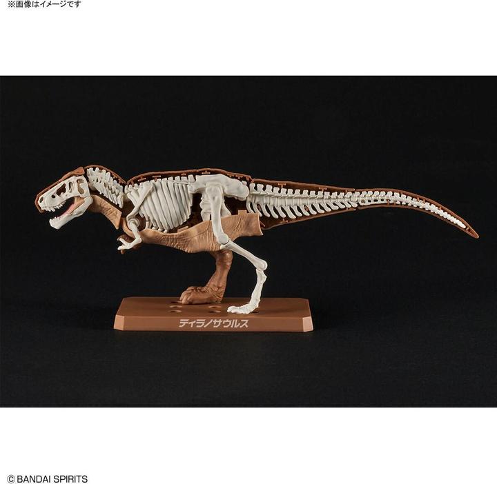 Produktbild Bandai DINOSAUR - New Dinosaur Plastic Tyrannosaurus (Tentative) - Model Kit