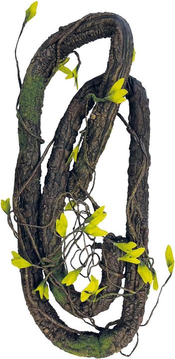 Actual product image Repto Plant Rainforest Plant Climbing