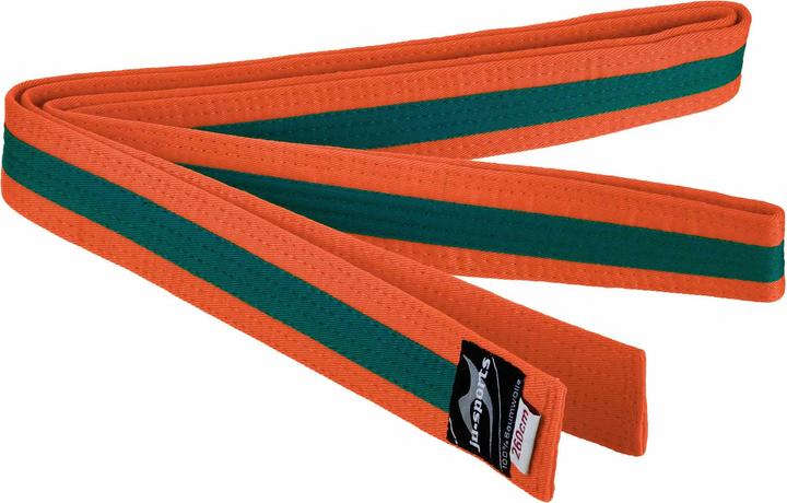 Image du produit Ju-Sports Ceinture de budo orange/vert/orange