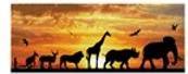 Immagine prodotto Diamond Dotz Cielo africano