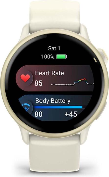Actual product image Garmin vivoactive 6 (42.20 mm)