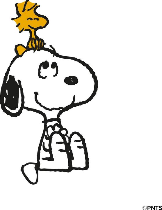 Immagine prodotto SBS custodia&me Peanuts cover cam logo iPhone 14 design4 Snoopy All Smiles Classic (Apple iPhone 14)
