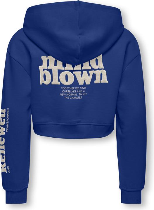 Produktbild Only Normal geschnitten Rundhals Gerippte Ärmelbündchen Tief angesetzte Schulter Sweatshirt Sweatshirt (122)