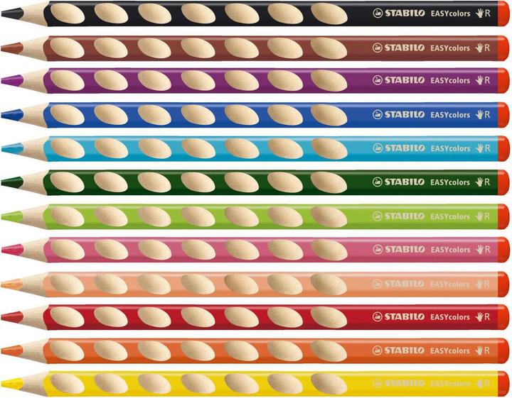 Actual product image STABILO EASYcolors ergonomic coloured pencil for right-handers (Multicoloured, 12 x)