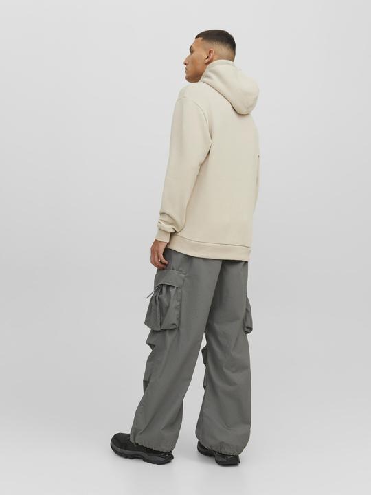 Image du produit Jack & Jones Sweat à capuche (XL)