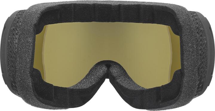 Actual product image Uvex Sports Downhill 2100 CV