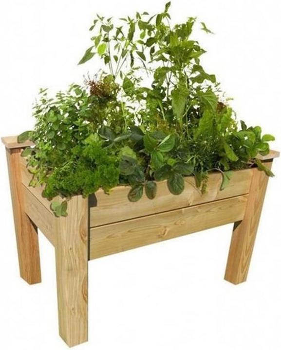 Actual product image Bio Green Bio