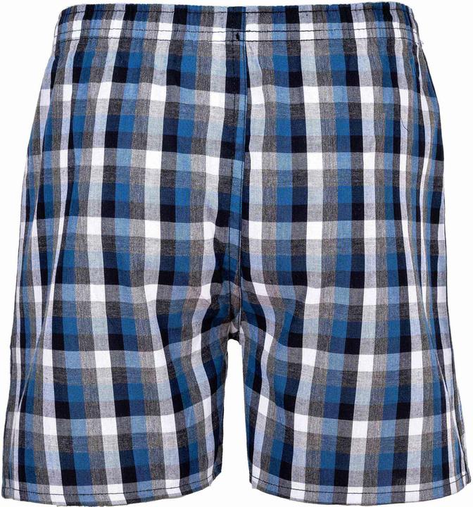 Image du produit Your Basics Boxers tissés Casual Coupe ample (188, paquet de 7)