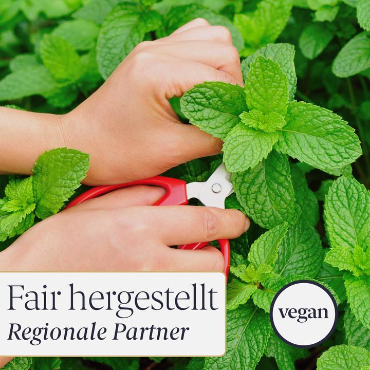 Image du produit Liebenstein Cristaux de menthol bio