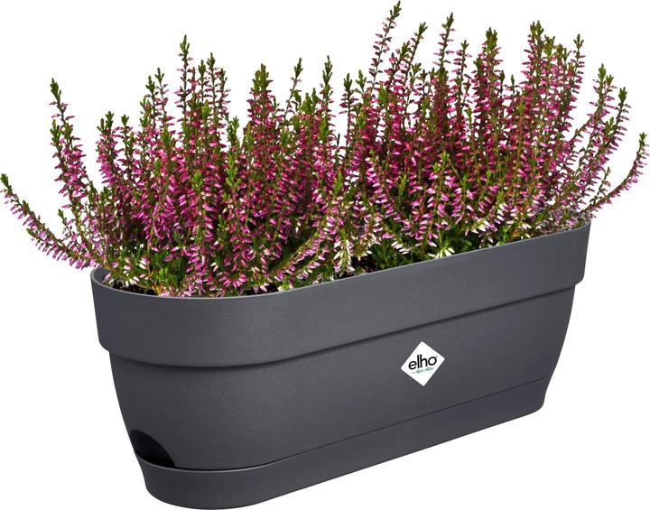 Produktbild Elho Balkonkasten Vibia Campana 49x18.2x17 cm (18.20 cm)
