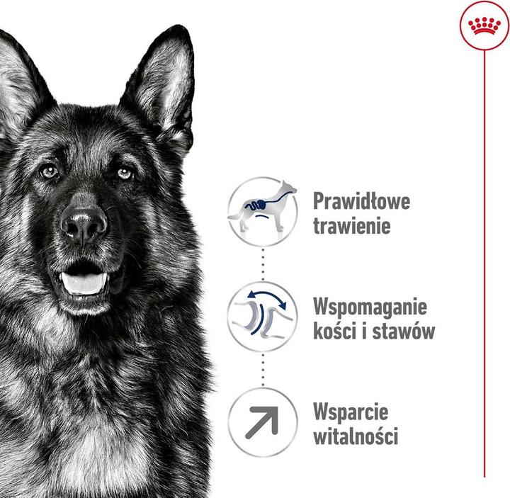 Produktbild Royal Canin Maxi Mature (Senior, 1 Stk., 15000 g)