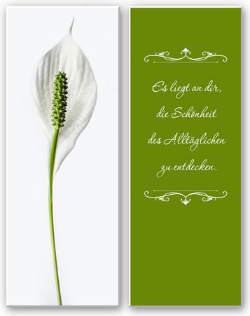 Produktbild Trenddeko Es liegt an dir, die Schönheit des Alltäglichen zu entdecken (2-teilig) (30 x 80 cm)