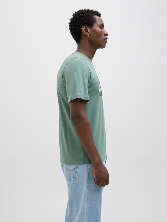 Actual product image Jack & Jones Jjhawaii Shape Tee Ss Crew Neck Ln (M)