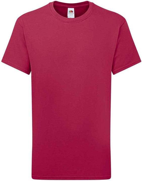 Actual product image Fruit of the Loom Childrens/Kids Iconic 195 Plain T-Shirt (140, 146)