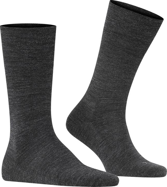Produktbild Falke Socken Klassisch Bequem sitzend (Einzelpack, 47 - 50)