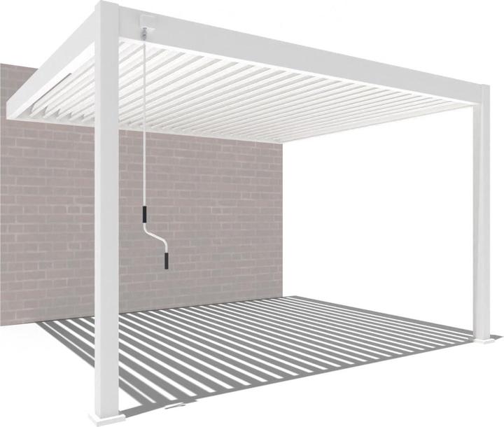 Weide Wandpergola Deluxe Plus 3x4m Weiss (400 cm, 300 cm)