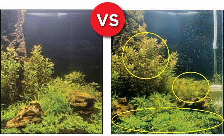 Productafbeelding Fluval Bio Co2 Set (Aquarium schoonmaken)