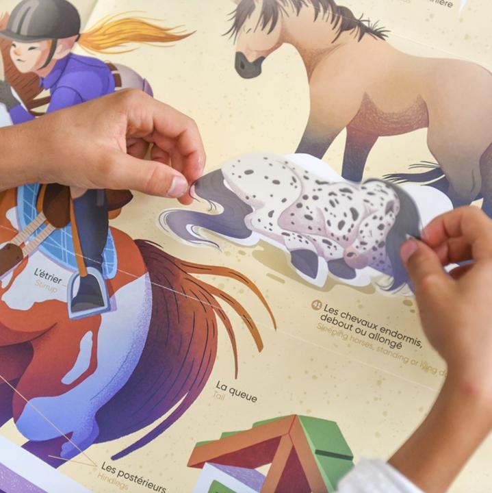 Actual product image Poppik Sticker learning poster horses