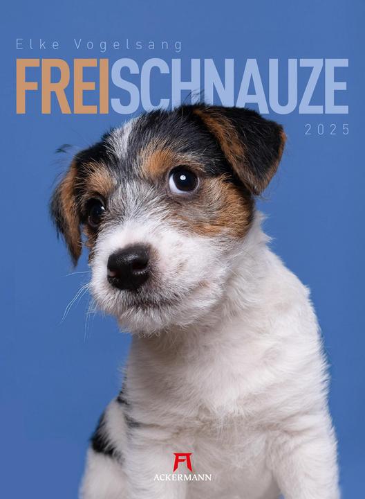 Produktbild Frei Schnauze - Kalender 2025 (33 x 45 cm, Harter Einband, Deutsch)