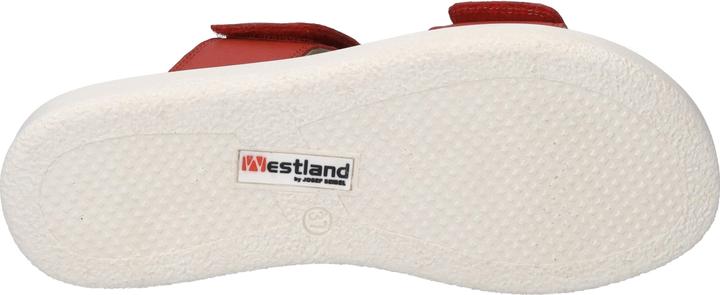 Actual product image Westland 25403-409 (36)