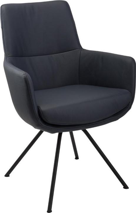 Dieter Knoll Collection Hampton