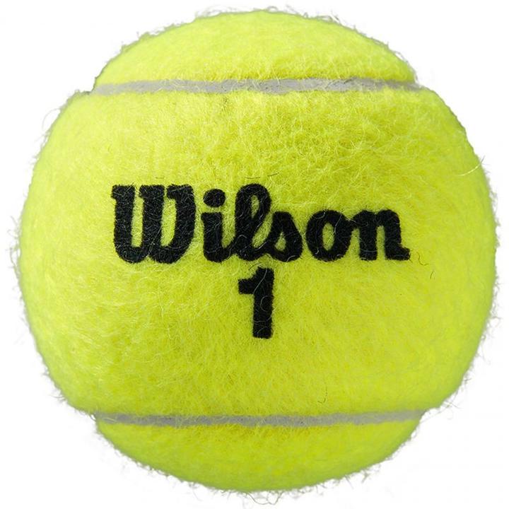 Actual product image Wilson Roland Garros All Ct 3 Ball