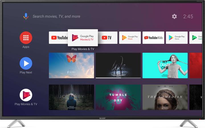 Sharp 50BL2EA (50", BL2EF, LCD, 4K, 2019)