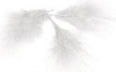 Actual product image Rayher Decorative feather, white, 10 pieces