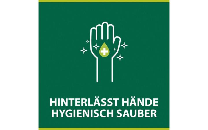Actual product image Palmolive Hygiene-Plus Sensitive (Liquid soap, 300 ml)