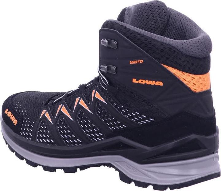 Image du produit Lowa Innox Pro GTX (45)