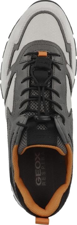 Immagine prodotto Geox Delray - 12652 (44)