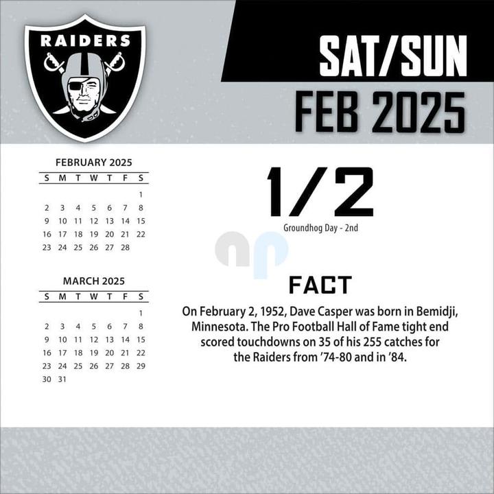 Productafbeelding NFL - Las Vegas Raiders - Bokskalender 2025 (Spaans, Italiaans, Engels, Duits, Frans)