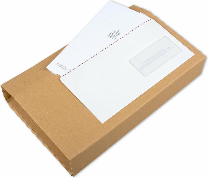 Immagine prodotto Elco Sacchetto per documenti di carta C5/6 (C5/6)