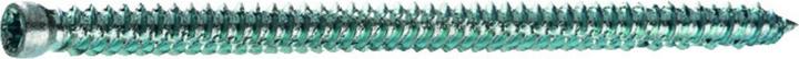 Actual product image Profix Frame screws PRS (200 Screws per piece)