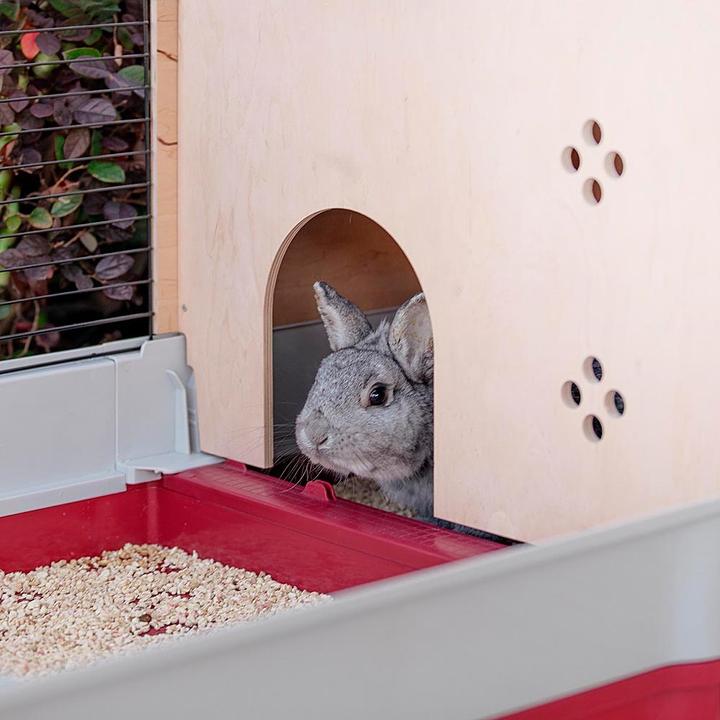 Actual product image Ferplast rabbit cage krolik 140 plus, 142 x 60 x 50 cm, 57072570